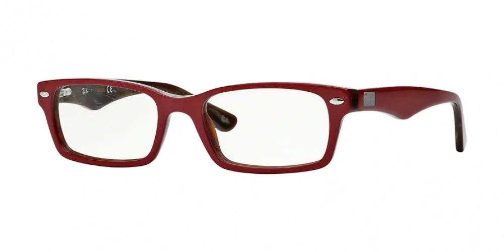 Ray-Ban 5206 Eyeglasses - view 11